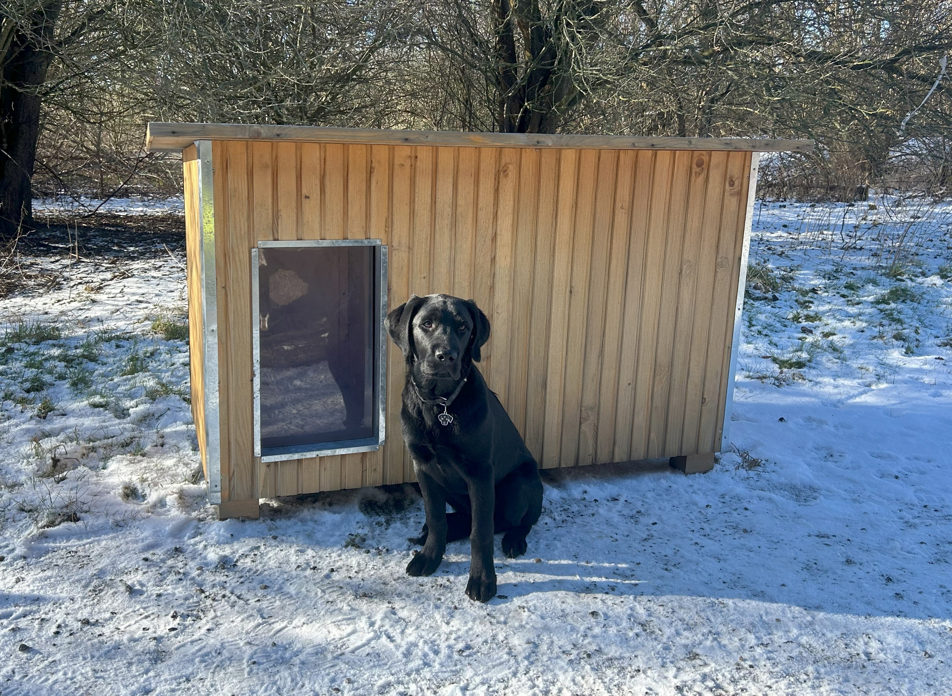 Sort hund sidder foran et Luksus hundehus i et vinterlandskab med sne på jorden.