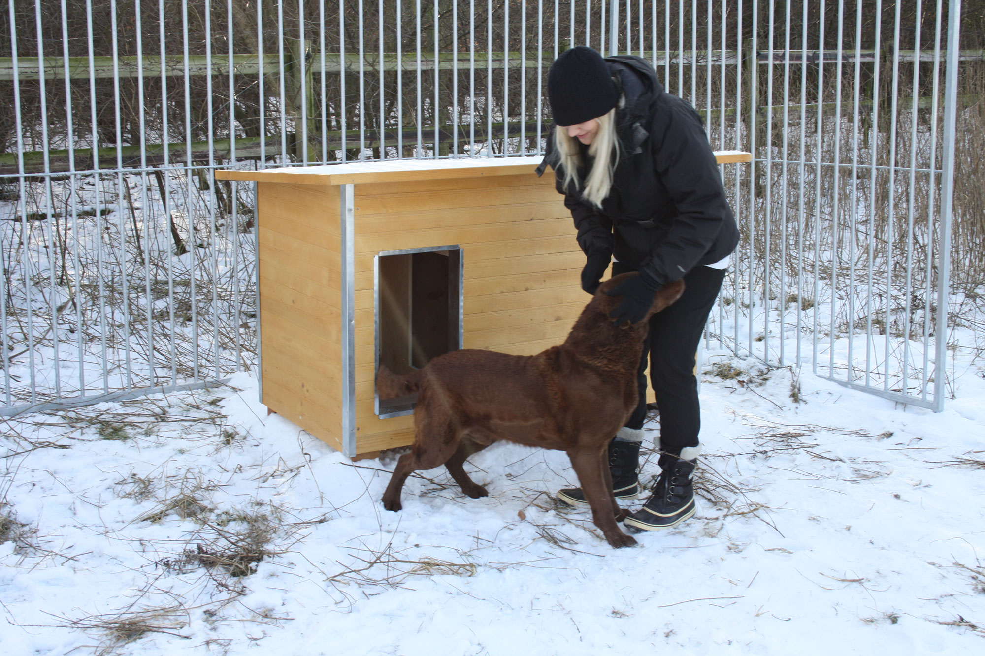 En kvinde klapper en labrador i en snedækket hundegård. Bag dem ses et hundehus i træ.